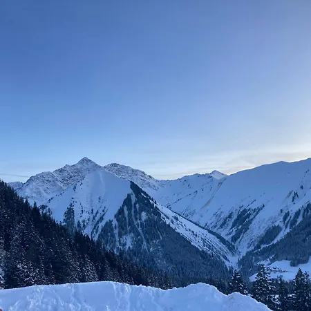 Ferienwohnung Alpina *